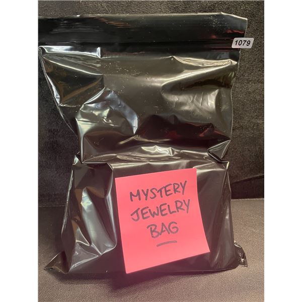 1 Mystery Bag of Jewelry - Includes 10 Assorted Brand New Jewelry Items!
