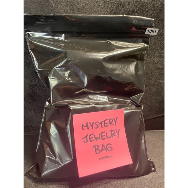 1 Mystery Bag of Jewelry - Includes 10 Assorted Brand New Jewelry Items!