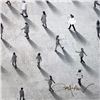 Image 2 : Populus: The Ground Up by Alan, Craig
