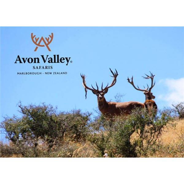 New Zealand Red Stag Hunt for 4 Hunters + Bonus Long Range Goat Cull Hunt!