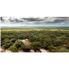 Image 26 : Argentina Extreme Volume Dove Hunt for 10 Hunters - Lodge Exclusive!