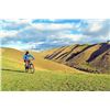 Image 3 : Hike & Bike New Zealand Vacation for Two People with Avon Valley Safaris