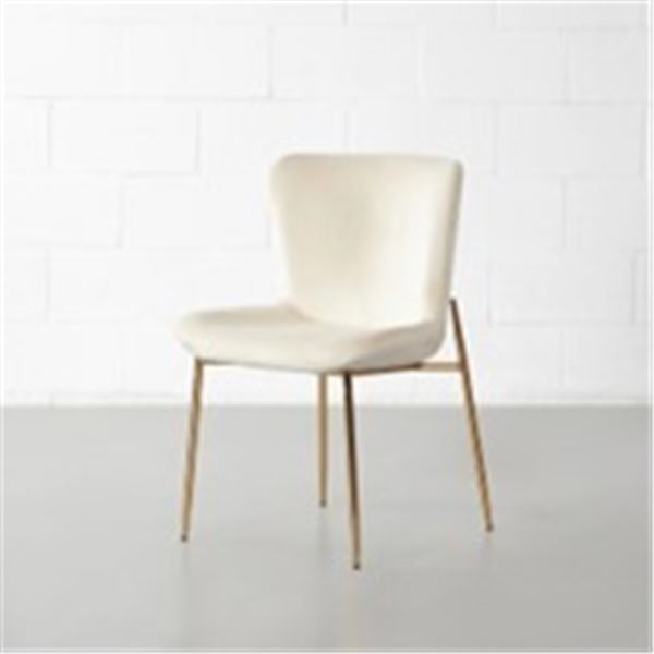 T6227 AVA Fabric Dining Chair(Cream)PRODUCT DETAILSPremium fabricBlack powder-coated metal base Pl