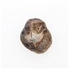 Image 3 : 400 B.C. Ancient Greek Silver Medusa Coin