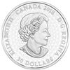 Image 4 : 2018 $30 Fireworks at the Falls - Pure Silver Coin with black light