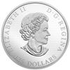 Image 2 : 2017 $125 CALL OF THE WILD: ELK - PURE SILVER HALF KILO COIN