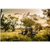 Image 14 : Argentina Red Stag Hunt for 6 Hunters plus Bonus Day High Volume Dove Shooting