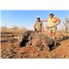 Image 13 : Trophy Cape Buffalo Hunt with Theron Safaris in South Africa