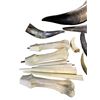 Image 2 : Movie Set Dec - Group of 16-pcs Bones & Horn Antlers Props