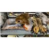 Image 2 : Griffin: Movie Prop Components - Head, Wings, Body, Chin, Tongue, etc. from Masters FX