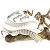 Image 2 : Movie Set Dec - Group of 16-pcs Bones & Horn Antlers Props
