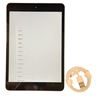 Image 1 : Apple Ipad Mini 2 Gray used in Movie Set Dec - 8" High, Working Condition w/ NEW Lightning Cable