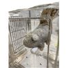 Image 2 : Movie Set Dec Laboratory Transparent Animal Cage - includes a Stuffed Rat (approx. 15" x 10 1/2" x 1