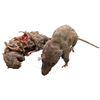 Image 2 : 7 episode show Ep. 106 - Set of 2 Realistic Rat Props