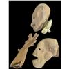 Image 1 : Expressive Ape Humanoid Masks and Arm Film Props