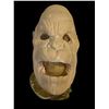 Image 2 : Expressive Ape Humanoid Masks and Arm Film Props