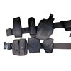 Image 2 : Group of 2 Security Belts