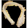 Image 1 : Movie Prop Tenticale (Not Painted)