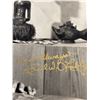 Image 2 : Signed Picture - Carl Lumby Mantis (From local Film memorabilia store)