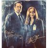 Image 2 : Signed Picture - "X Files" (From local Film memorabilia store)