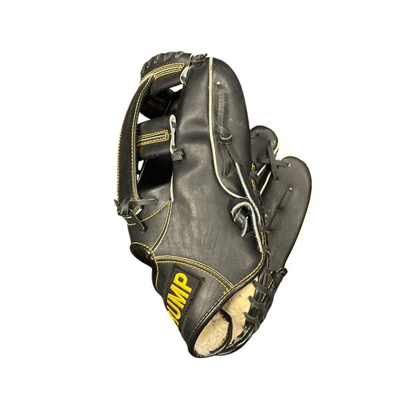Trump Baseball Glove