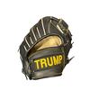 Image 2 : Trump Baseball Glove