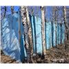 Image 2 : 10FT X 30FT BLUE OUT BUILDING - LOCATED OFF SITE