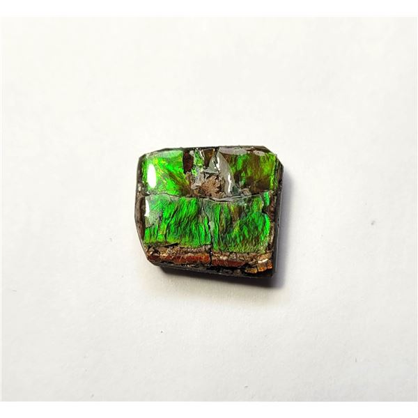 17)  GREEN FIRE NATURAL 10 CT AMMOLITE GEM-