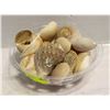 Image 1 : BOWL OF SEASHELLS