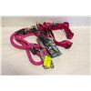 Image 1 : 4 DOG COLLAR,LEASH XL