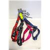 Image 1 : 5 DOG CONTROL COLLAR XL