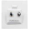 Image 1 : #169-NATURAL BLUE SAPPHIRE EARRINGS