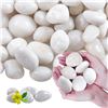 Image 1 : BRAND NEW 20LB BAG OF LECHLORIS RIVER ROCKS