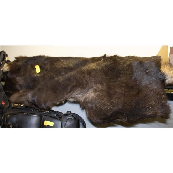 ESTATE- BULL MOOSE ANIMAL PELT