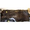 Image 1 : ESTATE- BULL MOOSE ANIMAL PELT