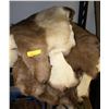 Image 1 : ESTATE- ANIMAL PELT