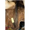 Image 1 : ESTATE- ANIMAL PELT