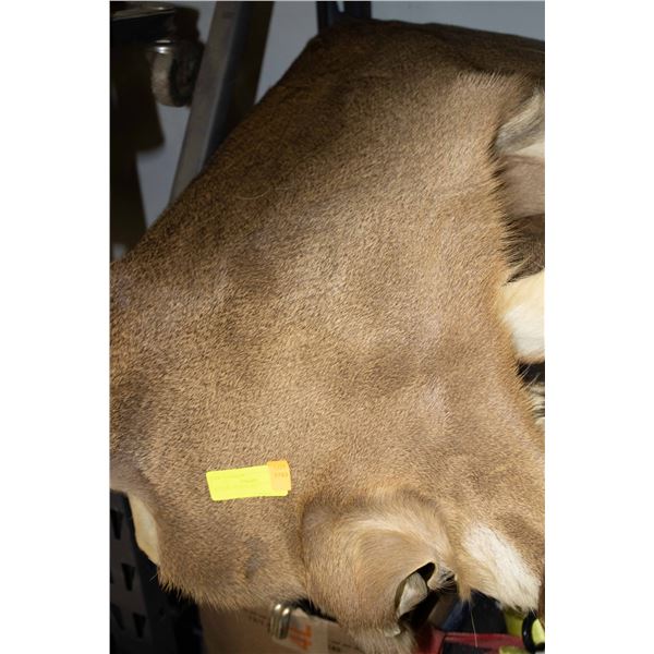ESTATE- ANIMAL PELT