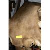 Image 1 : ESTATE- ANIMAL PELT