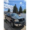 Image 3 : 2006 FORD F-150
