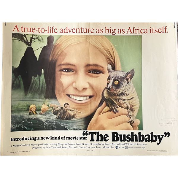 The Bushbaby 1969 vintage movie poster