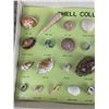 Image 2 : SHELL COLLECTION