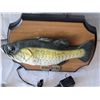 Image 2 : Big mouth Billy Bass, motion sensor, talks & moves. Battery/ plug in.