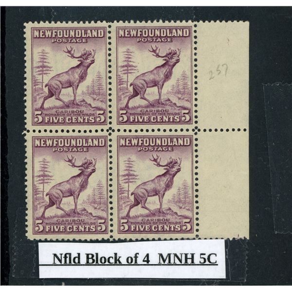 Nfld Block of 4 MNH 5C Stamp