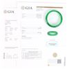 Image 1 : B+C GRADE GREEN JADE HOLOLITH BANGLE GIA CERT