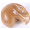 Image 2 : UNSIGNED HAND-CARVED EAGLE HEAD TAGUA NUT