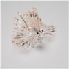 Image 1 : Swarovski Crystal Lion Fish Figurine with Original Box