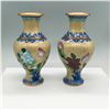Image 1 : 2pc Chinese Cloisonne Vases with Floral Motif