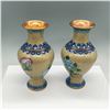 Image 2 : 2pc Chinese Cloisonne Vases with Floral Motif