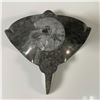 Image 5 : Fossil Stone Stingray Figurine, Artist Signed